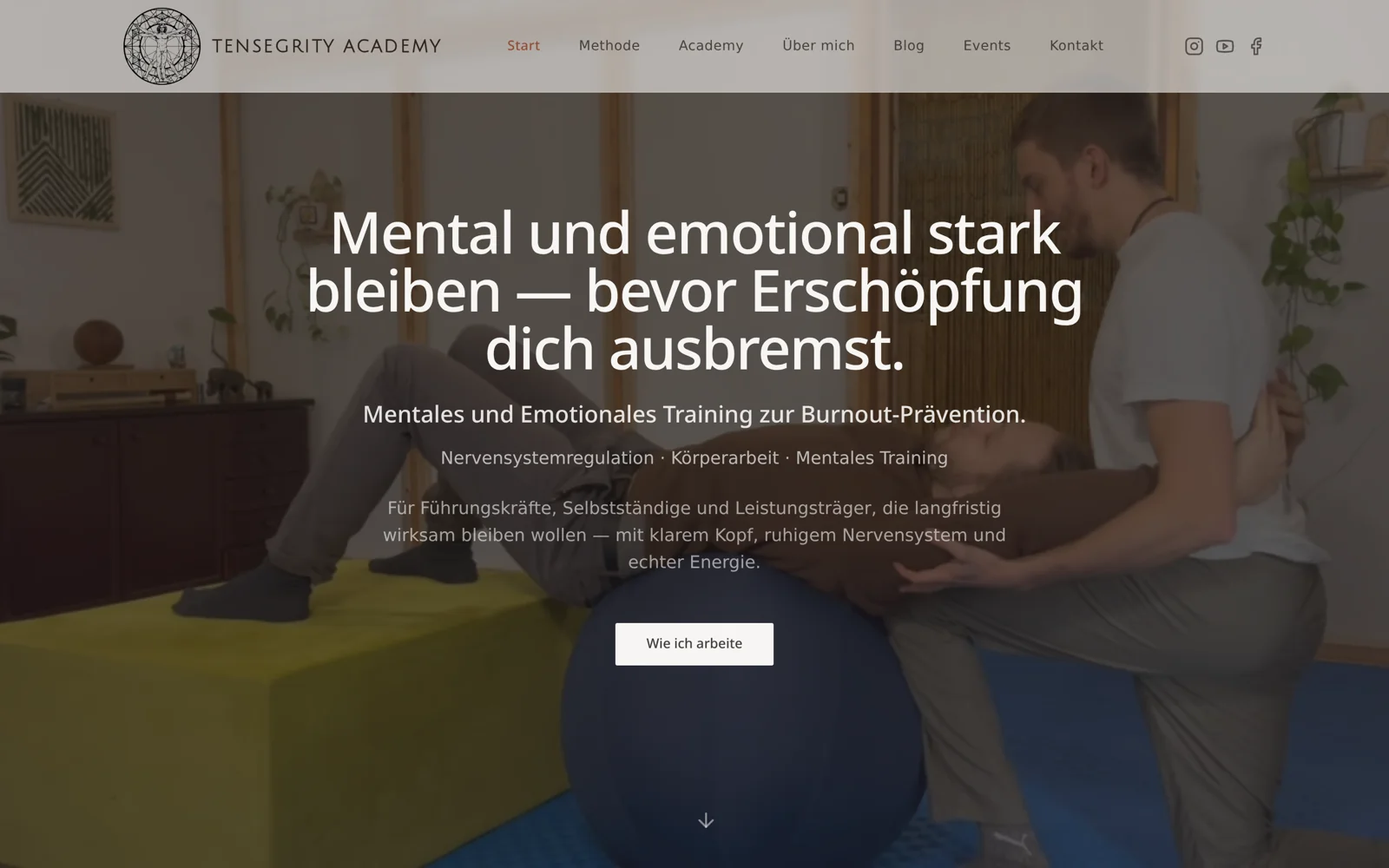 Startseite von Tensegrity Academy